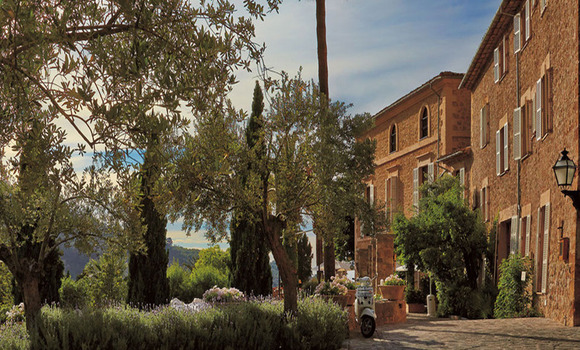 Preview plantilla imagenes items