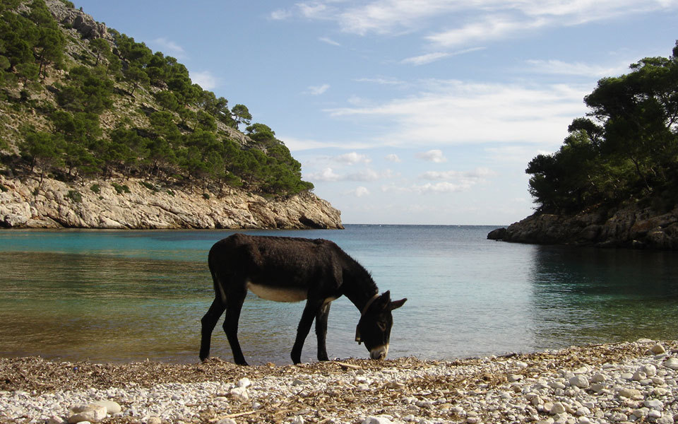 Fullscreen 1.cala murta bah a de pollen a mallorca