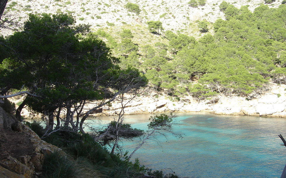 La Cala Murta en Mallorca: un pequeño rincón de naturaleza